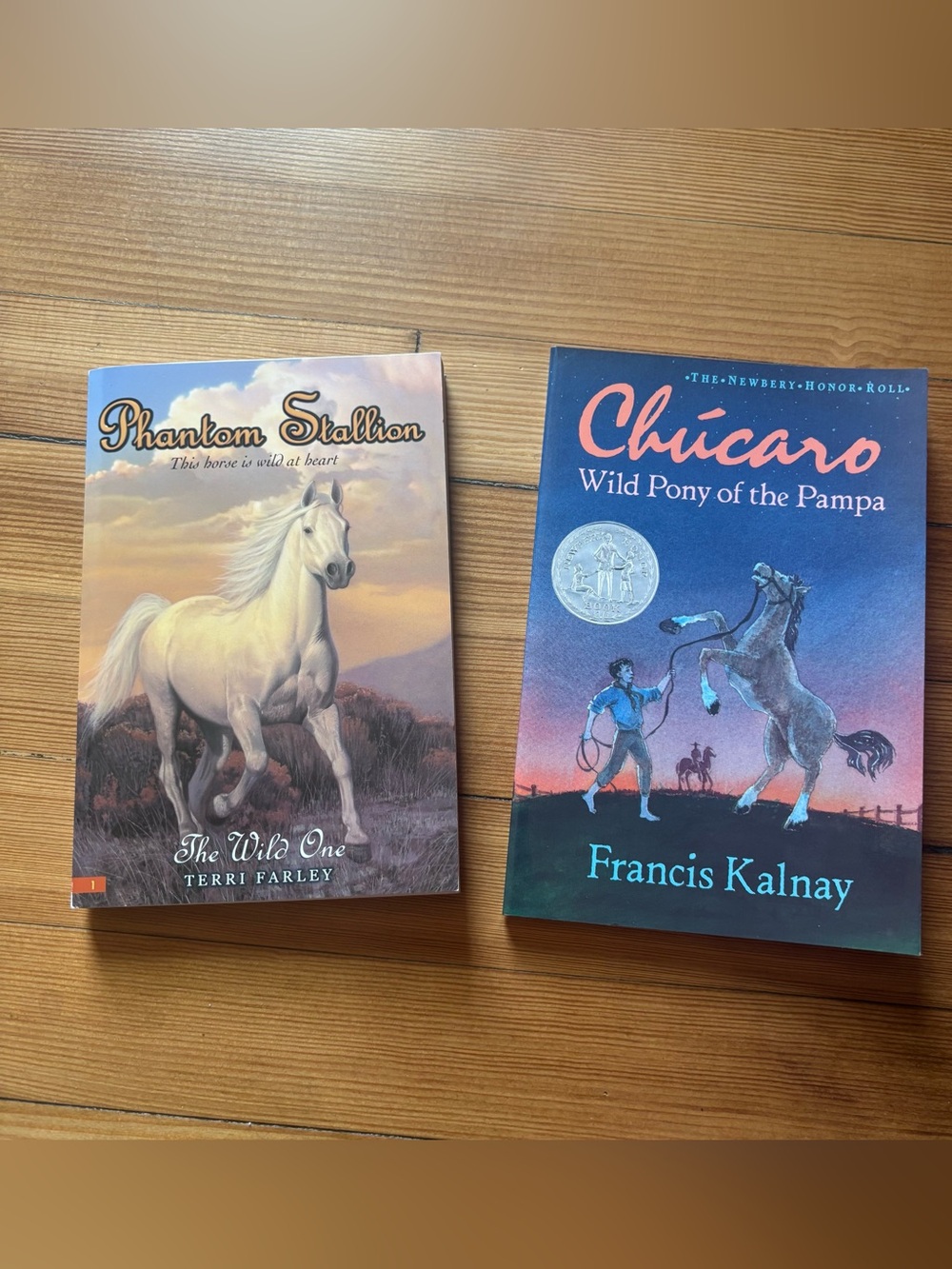 Lot of 2 Horse Fiction Books - Phantom Stallion & Chúcaro Wild Pony of the Pampa